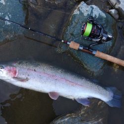 朝は爆風、午後は穏やか ～天竜川ルアーフライ専用区～